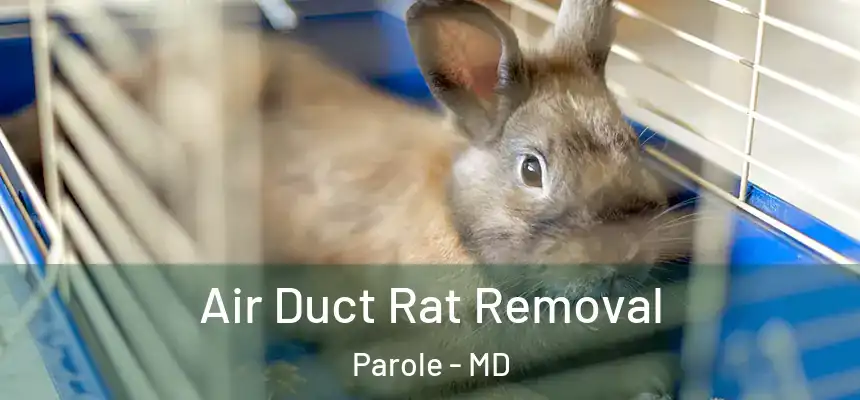  Air Duct Rat Removal Parole - MD