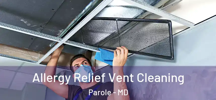  Allergy Relief Vent Cleaning Parole - MD