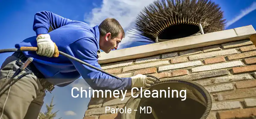  Chimney Cleaning Parole - MD