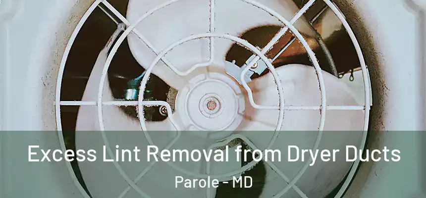 Excess Lint Removal from Dryer Ducts Parole - MD