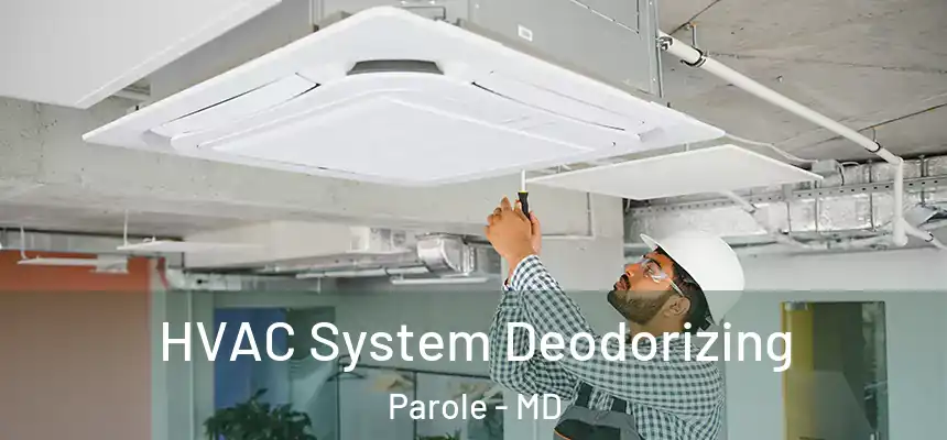  HVAC System Deodorizing Parole - MD