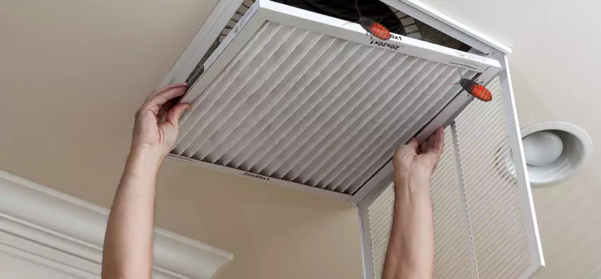 Preventive Cockroach-Proofing for Ducts in Parole
