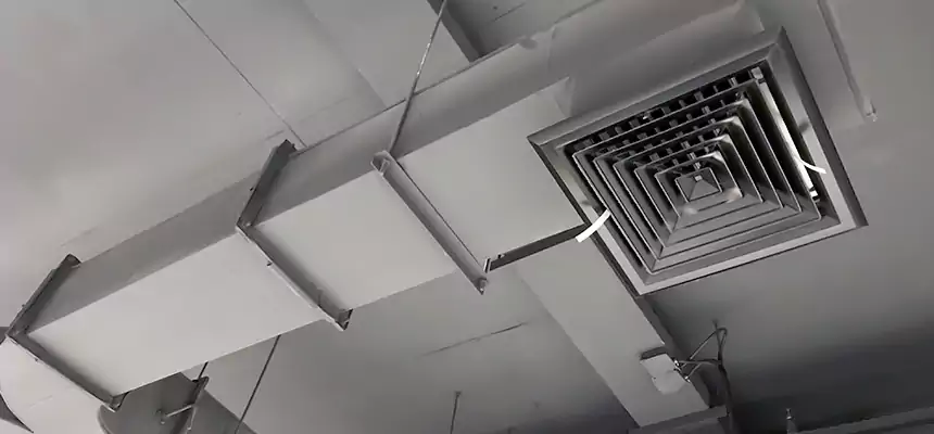 Restorative Allergy Relief Vent Cleaning – Coil, Blower & Housing Detail in Parole