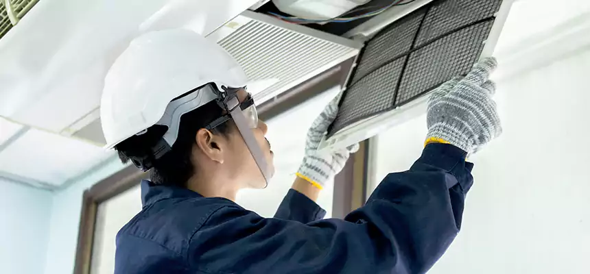 Our Mold & Mildew Removal from Air Ducts Services in Parole, MD