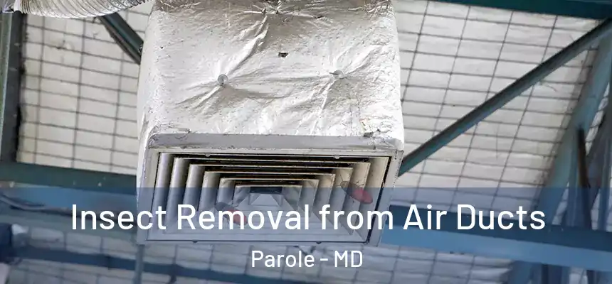  Insect Removal from Air Ducts Parole - MD