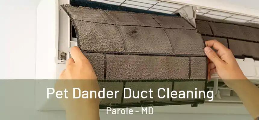  Pet Dander Duct Cleaning Parole - MD
