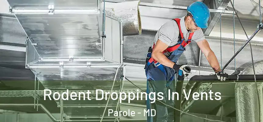  Rodent Droppings In Vents Parole - MD