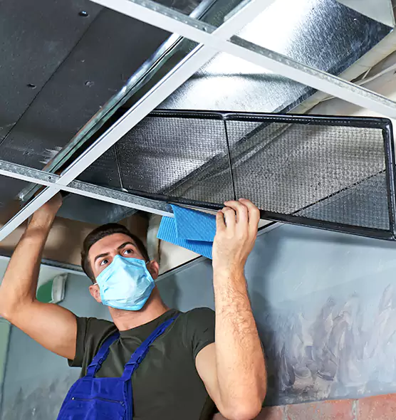 Professional Air Duct Pollen Cleaning in Parole, MD