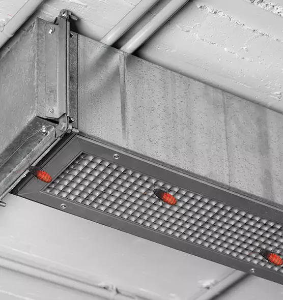 Affordable Insect Removal from Air Ducts in Parole, MD