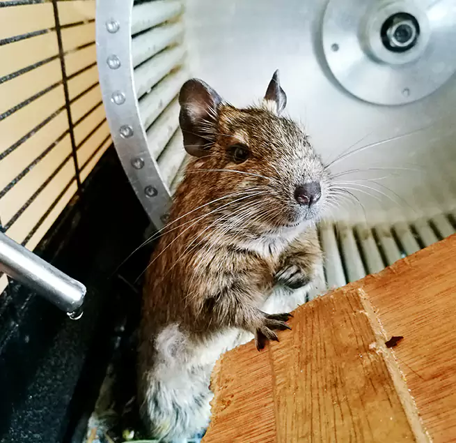 Why Homeowners & Businesses Trust Us Parole, MD?