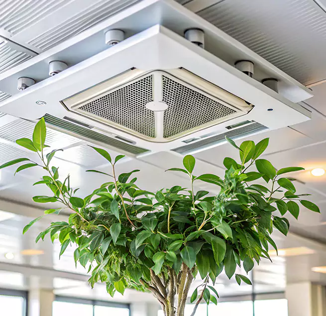 Why Homeowners & Businesses Trust Us in Parole, MD?