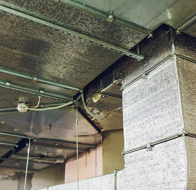 Why Homeowners & Businesses Trust Us in Parole, MD?