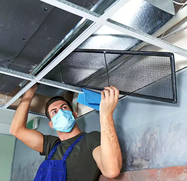 Why Homeowners Businesses Trust Us in Parole, MD