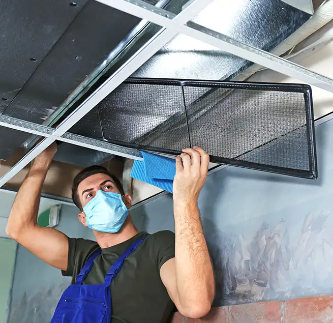 Why Homeowners & Businesses Trust Us in Parole, MD?